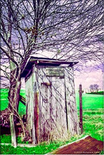 A Tree Grows In Bartlett_03122006